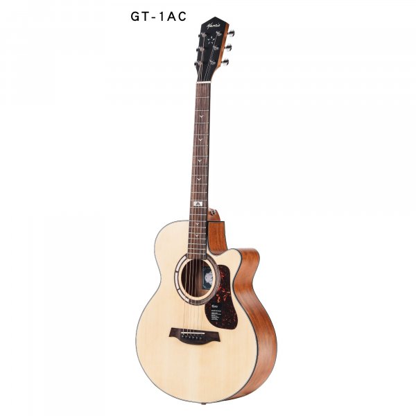 Mantic GT1AC Acoustic Guitar- Natural