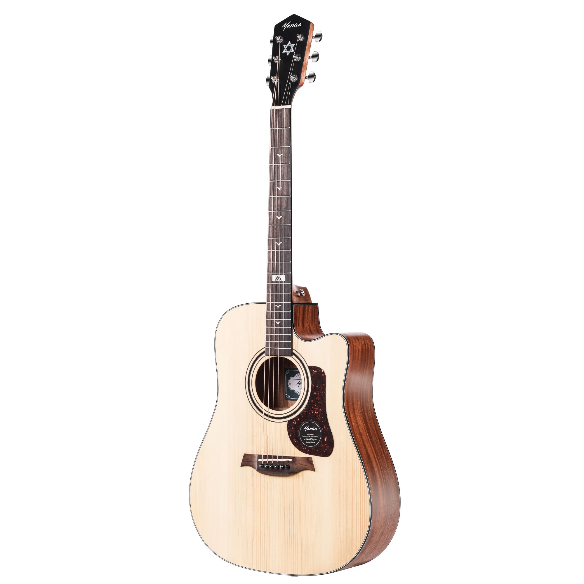 Mantic GT10DC Solid Top Acoustic Guitar