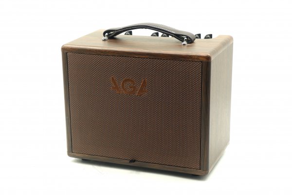 AGA SC-40 Acoustic Guitar Amplifier