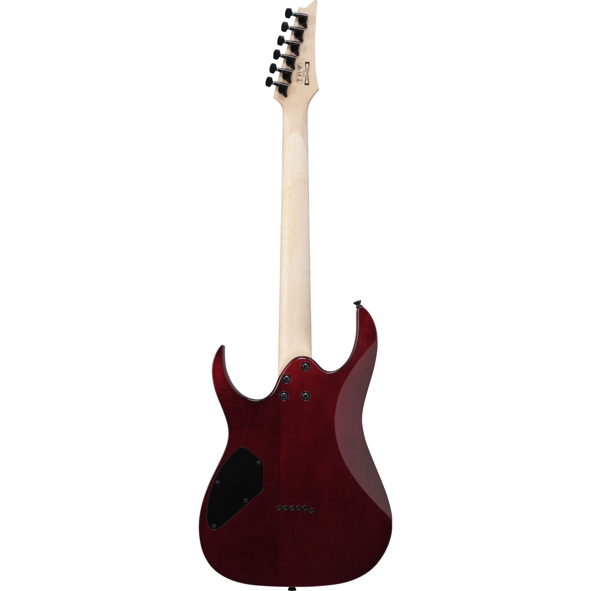 Ibanez GRGR221PA-AQB GIO Series Electric Guitar