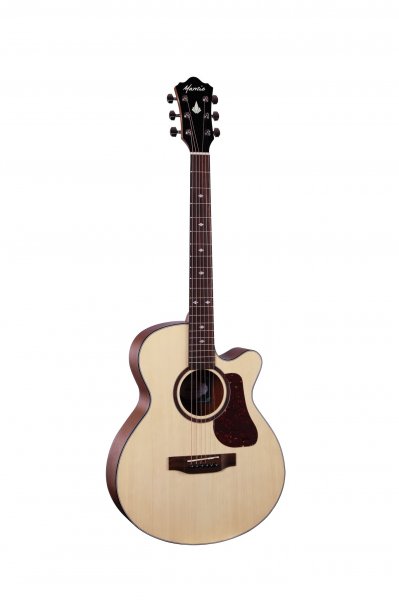 Mantic MG1C Acoustic Guitar - Natural