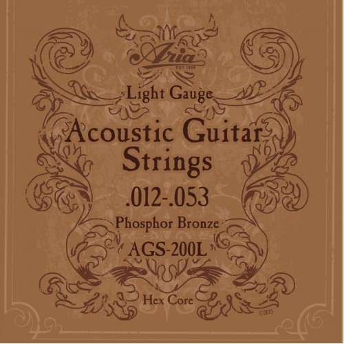 Aria AGS 200L For Acoustic Guitars