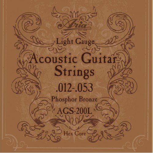 Aria AGS 200L Acoustic Guitar Strings