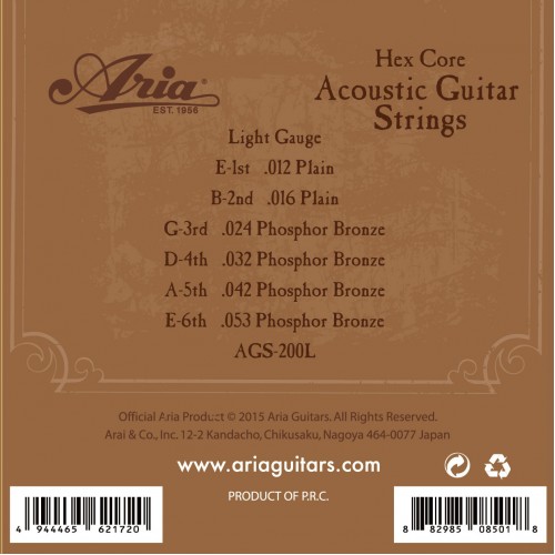 Aria AGS 200L For Acoustic Guitars