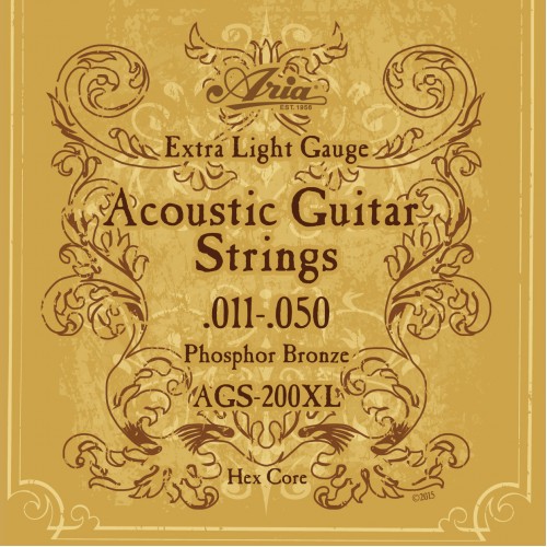 Aria AGS-200XL for Acoustic Guitar