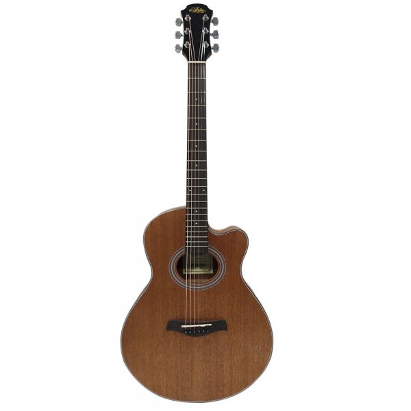 Aria FET-M2 Acoustic Guitar