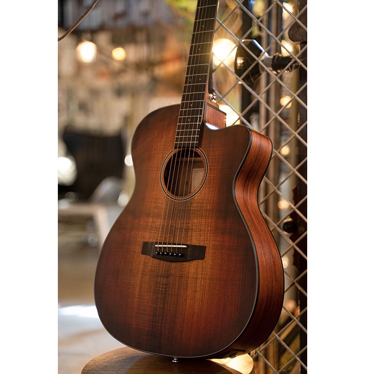 Acoustic guitar & electro low prices - Beginner and Pro 