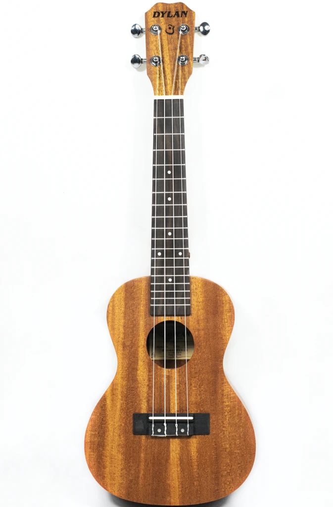 Dylan Ukulele Buy Ukulele online in India JohnsMusic.in