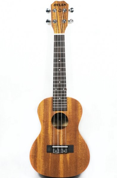 Buy ukulele online in India