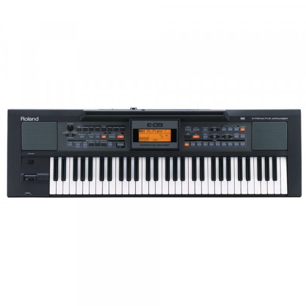 Roland E09IN Indian Edition Arranger Keyboard