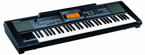 Roland E09IN Indian Edition Arranger Keyboard