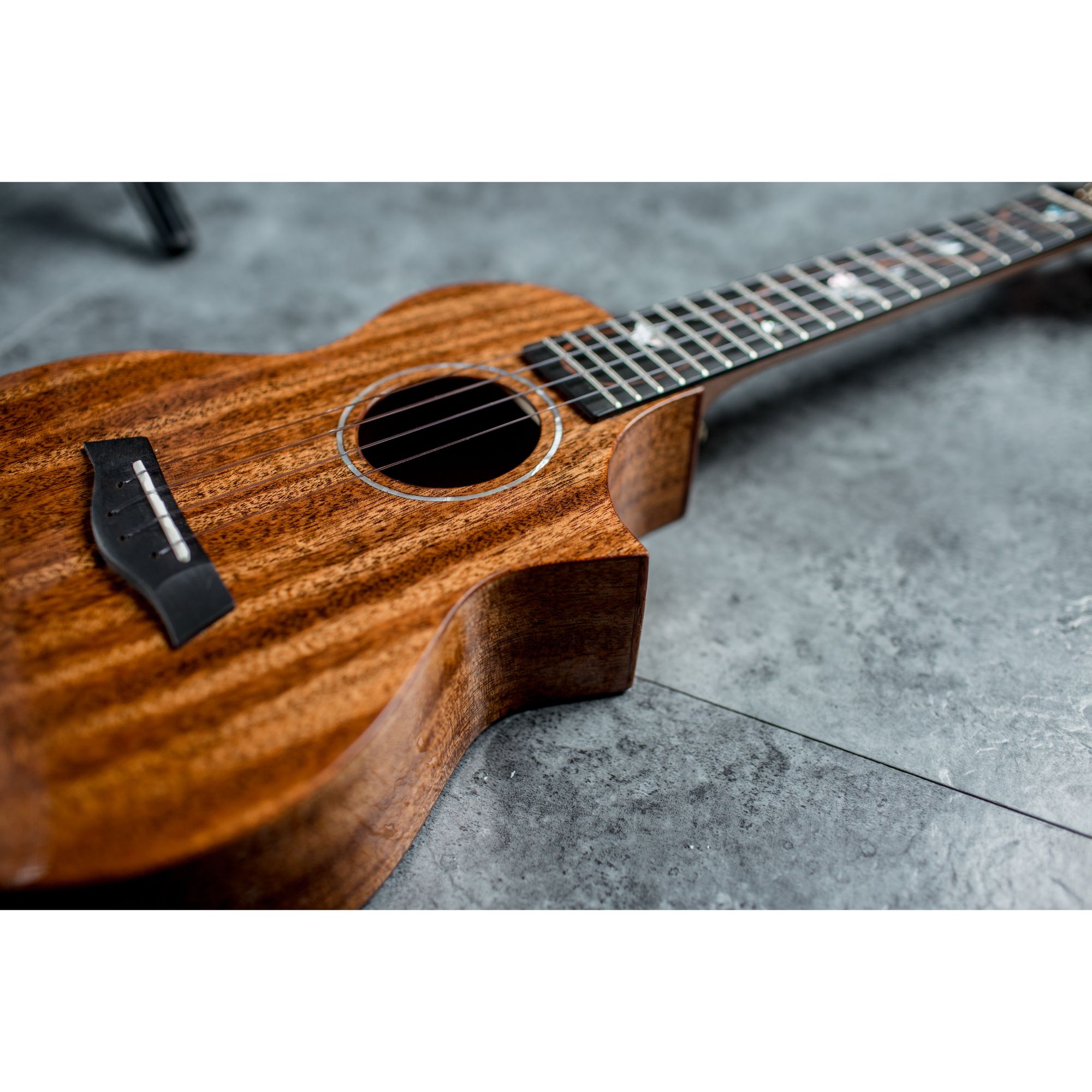 Enya EUCM6 Solid Mahogany Concert Ukulele