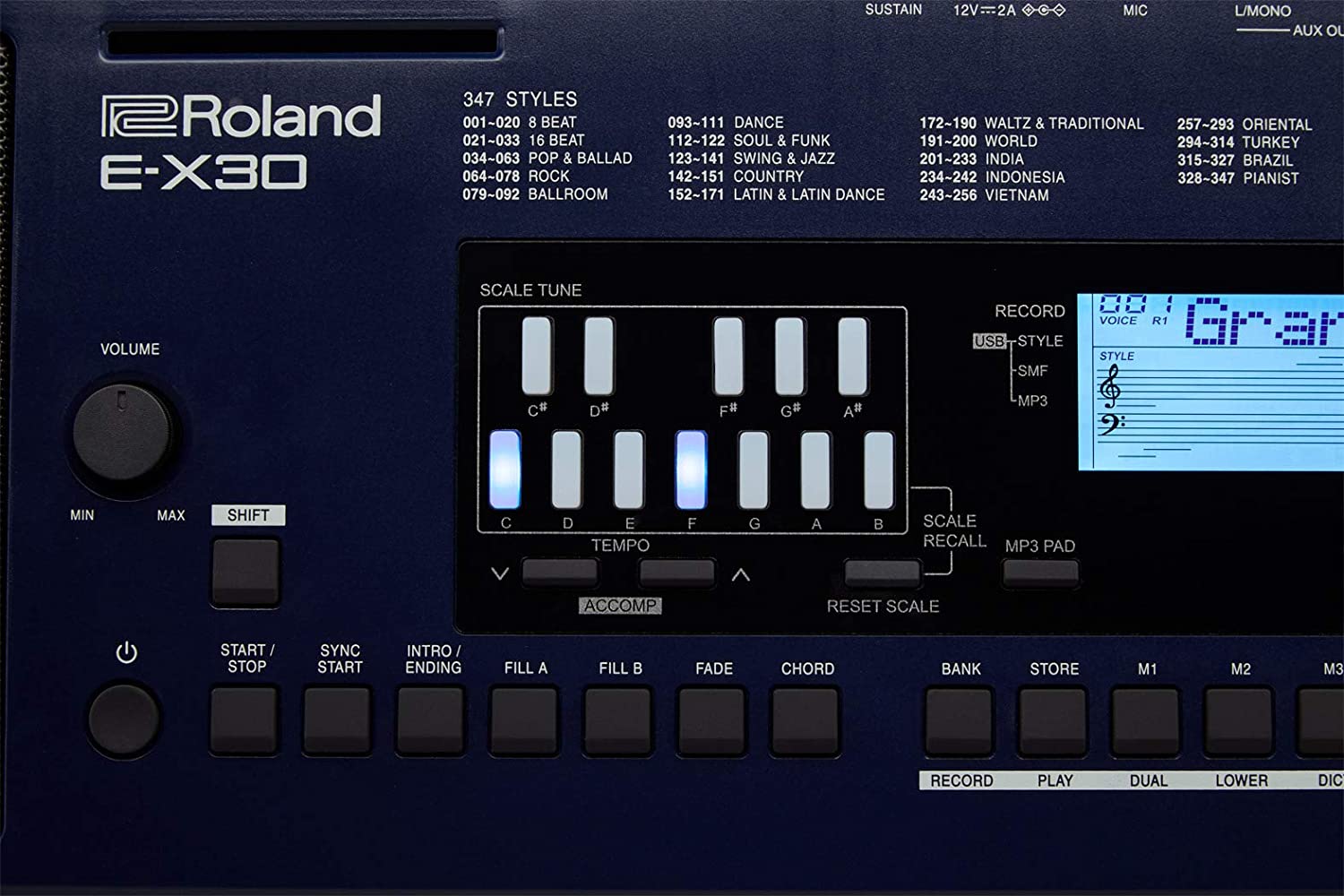Roland E-X30 Arranger Keyboard (61 keys)