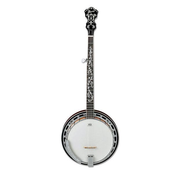 ibanez b200 banjo online price in india