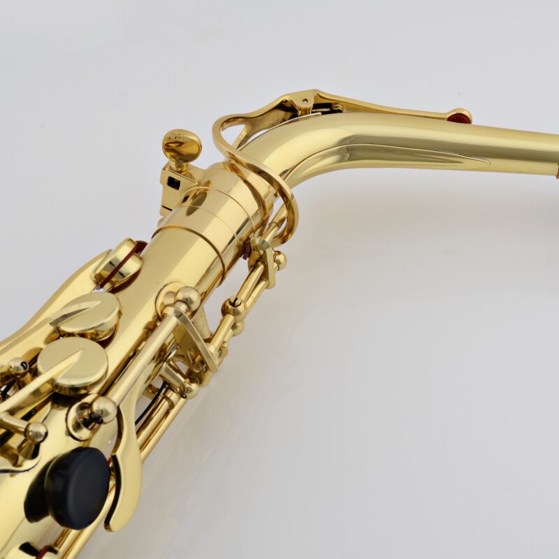Jinbao Alto Saxophone JBAS200 Buy online in India JohnsMusic.in