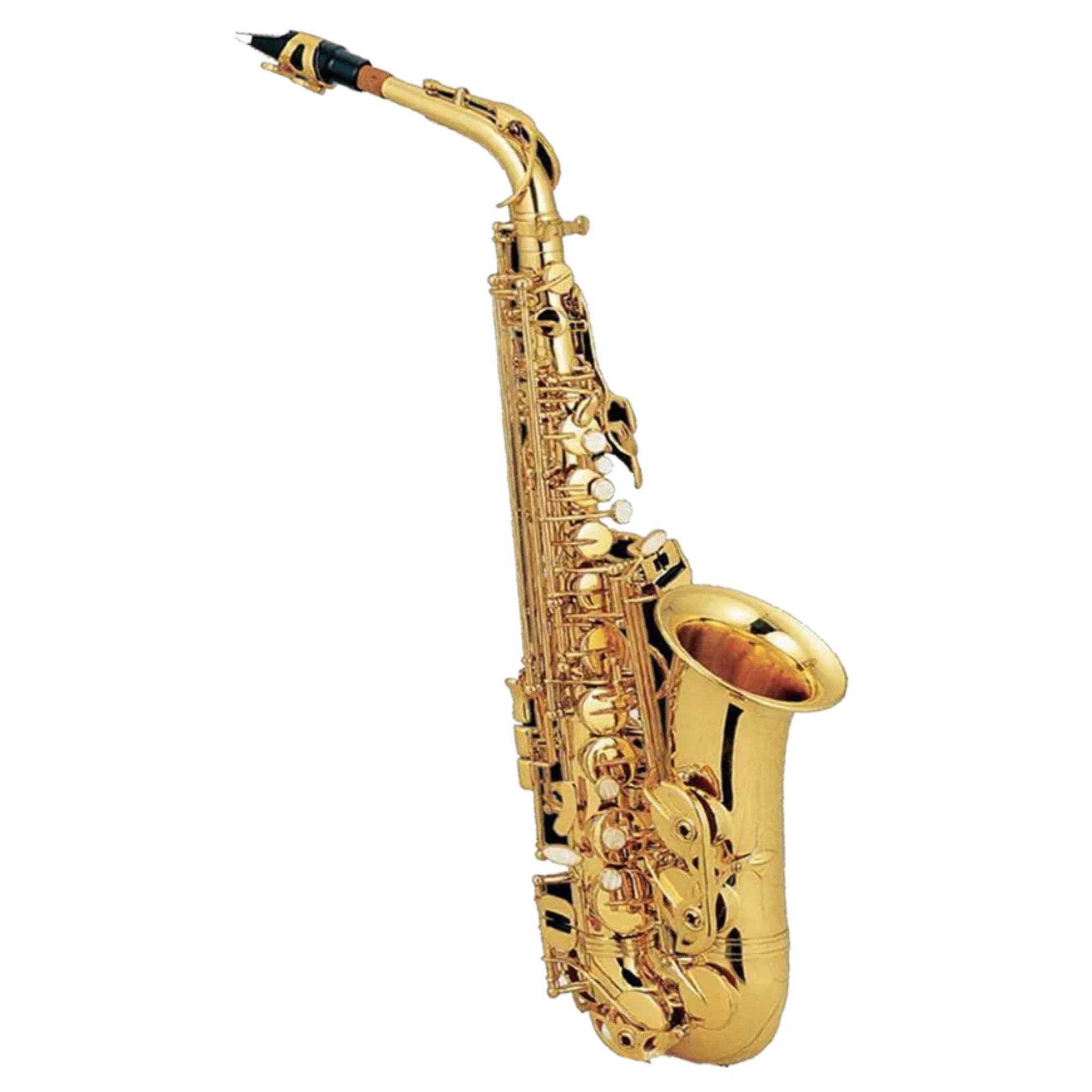 Jinbao tenor Saxophone JBAS200 Buy online in India JohnsMusic.in