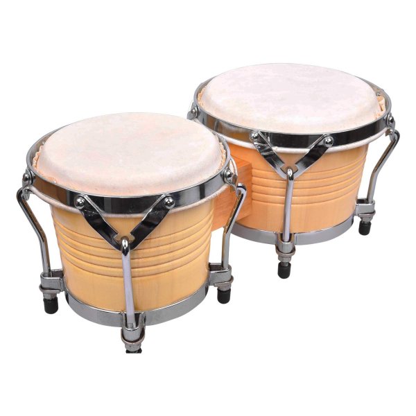 buy professional bongo online in india