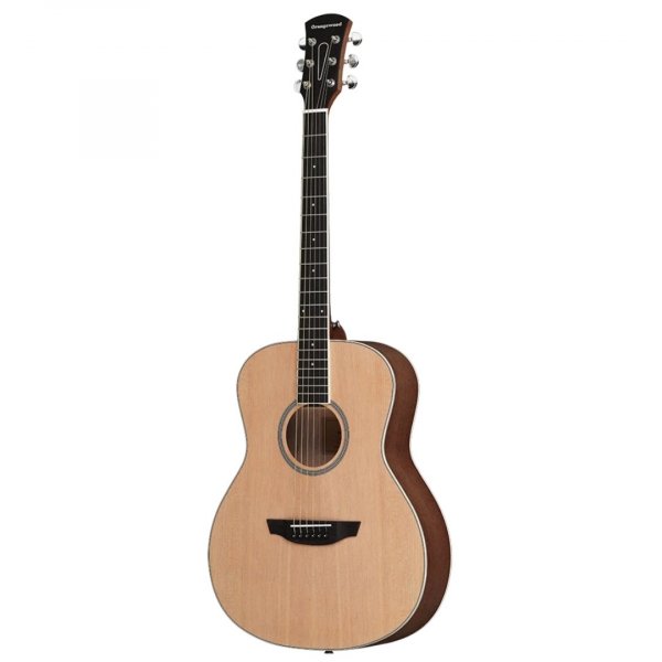 Orangewood Victoria Acoustic Guitar